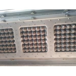 Waste Paper Pulp Egg Tray Making Machine , Fruit Tray Making Machine Large