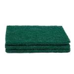 Heavy Duty Green Nylon Scourer Moisture Proof Wear Resistance Custom