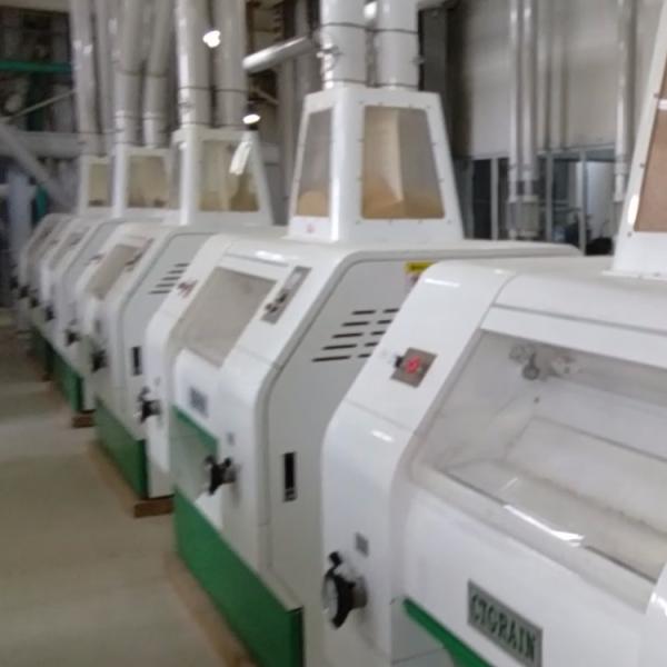 OEM Supply China Commercial Small Corn Wheat Automatic Maize and Flour Mill