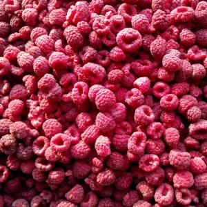 China Whole/Crumble IQF Frozen Fruit / Raspberry Bulk Packing 10kgs/12.5kgs factory