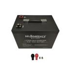 Deligreen BMS Built In RV Lifepo4 Battery Pack Deep Cycle Lithium Ion 12v 100ah