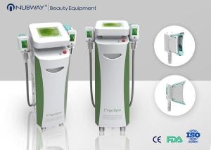 China 2 handles fat removal cryolipolysis machine factory