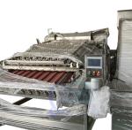 250-300KG/H Shrimp Peeling Machine Automatic Manual Operation