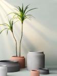 180cm Tall Artificial Landscape Trees Showroom Dracaena Potted Plants