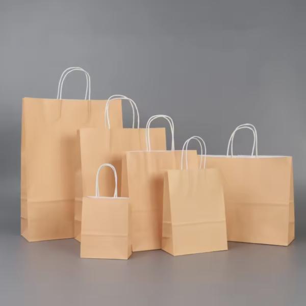 China Customized paper bag with your own logo, disposable eco-friendly paper bag with twisted handle printed brown kraft paper bag factory