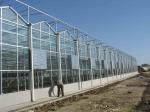 High Strength Bolt Poultry Farm Structure By Hot dipped Galvanized Treatment