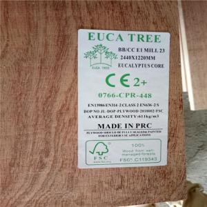 China Glue E0 WBP Moisture 12% Sapele Veneer Plywood factory