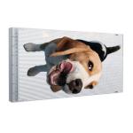 Spectacular Indoor Holographic Transparent LED Display Ultra-Light 6kg/m² Module
