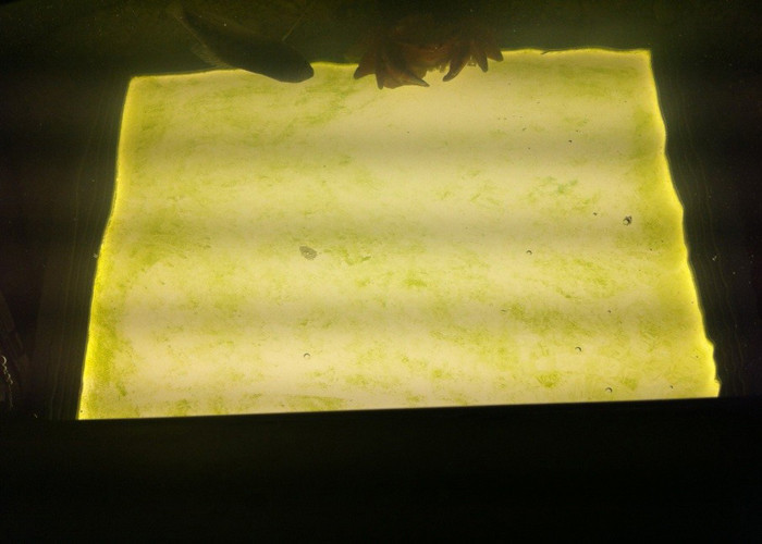 18W / 24W / 36 W Outdoor Waterproof LED Panel 300x300 High Efficiency