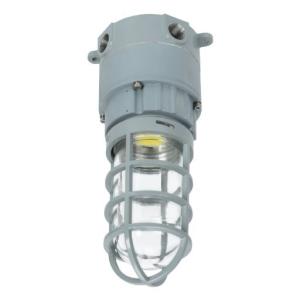 China 10-40W Explosion Proof Led High Bay ATEX AC100-277V factory