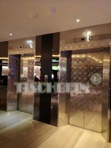 China 450-2500kg Photosensor Door Fire Rated Passenger Elevator 1.75m/s With Machine Room EN81 Code For Hotel Residential Bld factory
