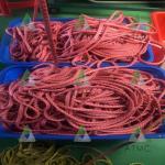 ISO9001 paper carrier rope For Papermaking Industry