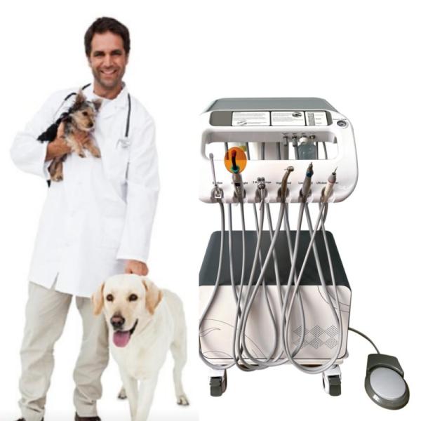 Veterinary Dental Equipment Pet Tooth Treatment Machine Move At Will Vet Use Pet
