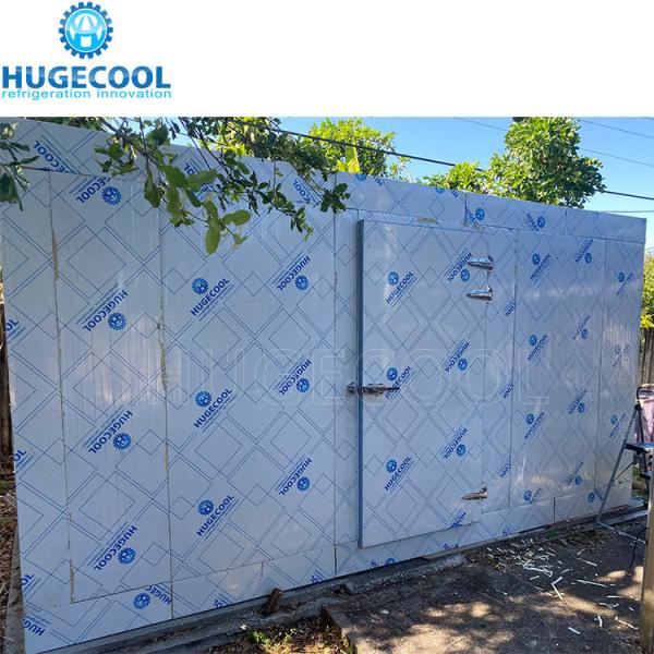 Sea Fish Products Storage in Large Beef Deep Freezer Cold Room with Cam-Lock