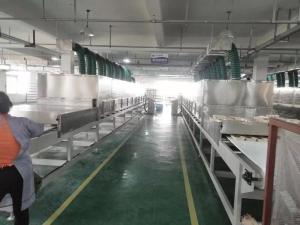 China High Capacity Efficient Microwave Vacuum Drying Equipment 50/60Hz Frequency factory