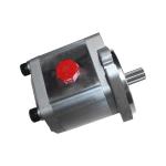 Stainless External Gear Oil Pump for Hot Circulation Oil in Building Material