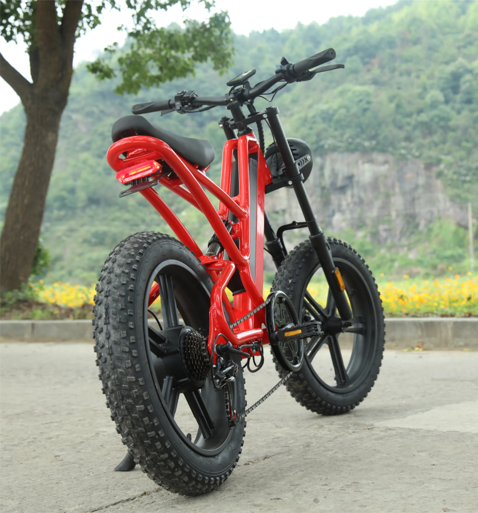 1000W 20 Inch Electric Fat Tire Bike 48V 16Ah Full Suspension Electric Bicycle