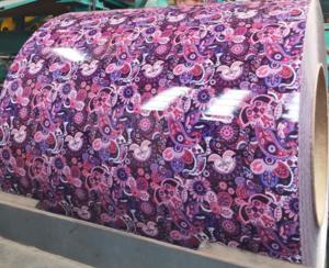 China Ral 9010 Color Coated PPGI Steel Coil Roof Sheet 6-12m factory