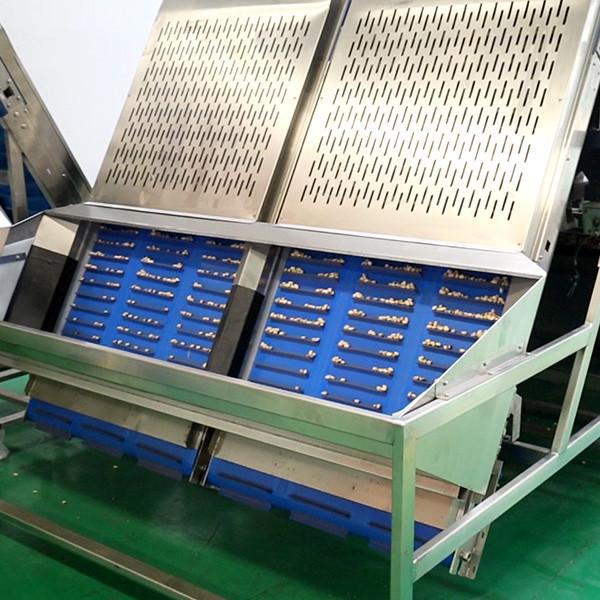 China 1 Ton High Capacity Pistachio Nuts Sorting Machine Stainless Steel factory