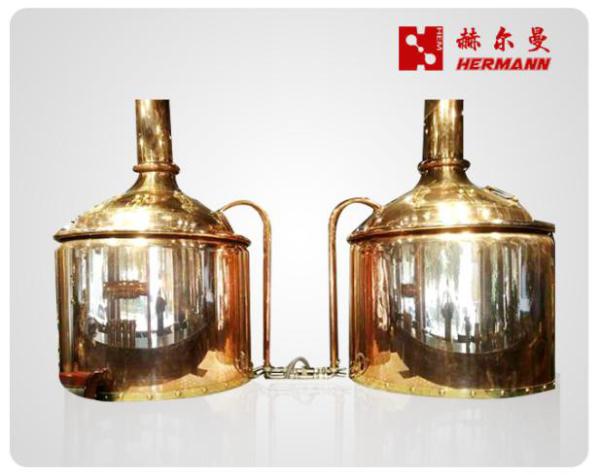 300L Restaurant Beer Fermenting Equipment Energy Saving And Reducing Emission