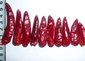 China Sichuan Red Bullet Chilli Stemless Dried Hot Chili Peppers GMP factory