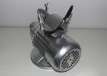 Hydraulic Shaft Electric Concrete Poker Vibrater With Anti - Reverse Device