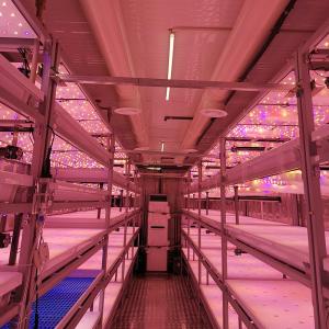 China OEM 110V Solar Powered Hydroponic Grow Containers For Brassicas factory
