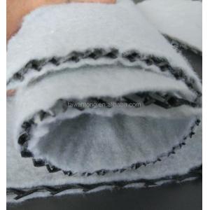 3D Net for Turf Reinforcement Mat TRM CE/ISO9001/ISO14001 Certified and Long