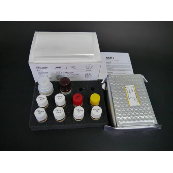 China Vitamin D Elisa Test Kit Specificity Elisa Test Kit With 18 Months Shelf Life 2-3 Hours Assay Time By Biovantion factory