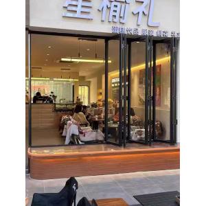 Modern Black Folding Windows - Architectural Statement Frames