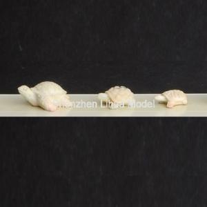 China model tortoies,model animals,model scale figure,scale tortoie,model stuffs,fake tortoies,architectural model factory
