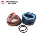 Telescopic Cylinder 10209797 Seal Kits DJ094A For Stacking Machine Fork Lift
