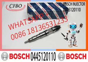 China Bosch Injector 0445120110 Common Rail Injector Assembly 0445120110 factory