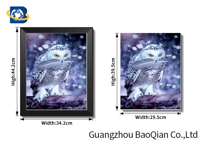 Wall Hanging Picture / Painting for Bedroom , 3d Picture Of Dolphin / Birds Framed