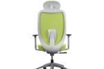 Green Mesh Adjustable Ergonomic Chair , H1165-1260MM Ergo Computer Chair
