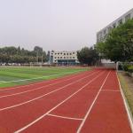 6 Years Multicolor Chemical Resistance Jogging Track Material Durable