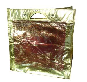 China Eco friendly golden lamination non woven carry bag with metal handle factory