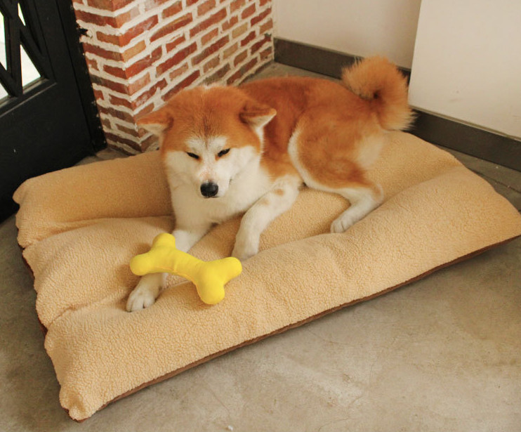 extra large dog pillow