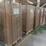 Minus 25 Degree 268 Liters Medical Vaccine Fridge Freezer For Lab And Hospital