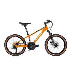 China 20 Inch MTB , Carbon Fibre Hardtail Mountain Bike 11.3KG For Kids factory