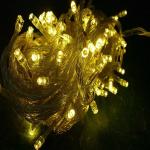 Wholesale - 10m/100leds christmas decoration light,110v/220V led christmas