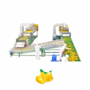 China Automatic Fruit Juice Production Line 75kw For Beverage Factory factory