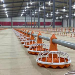 China Taiwan Brand Gear Motor Broiler Automatic Feeder Plastic And Galvanized Steel factory