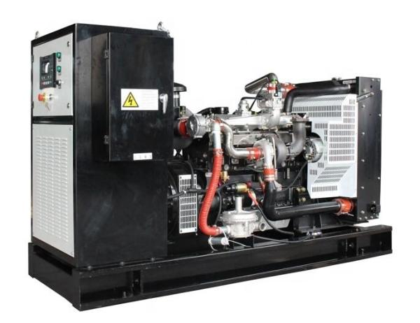 100% Pure Copper Brushless Alternator Gas Generator Plant for CHP/CNG/Biogas 10