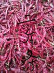 Stemless Erjingtiao Dried Chilis Sterilized Whole Chillies Pungent