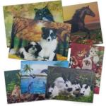 PLASTIC LENTICULAR Customized PVC TPU PP PET 3d lenticular animated name cards