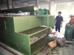 China DWT Series Drier for Vegetable Dehydration factory
