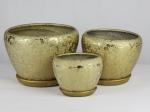 Transform Your Garden With Our Stylish And Durable Ceramic Pots Shop Now