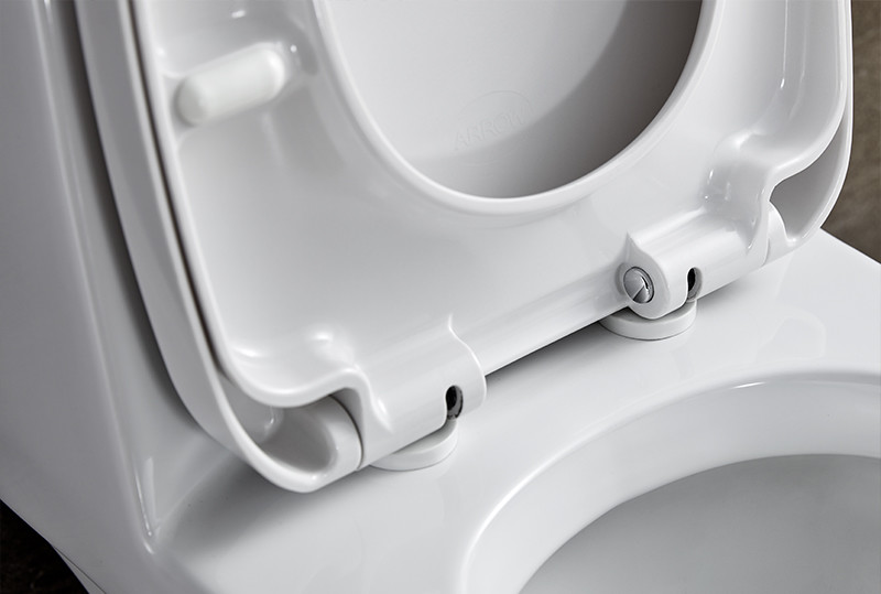 Soft closed WC Ceramic Toilet Bowl Siphon One Piece Dual Flush