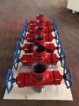 Gas Oil Well Blowout Preventer Polish BOP Sucker Rod